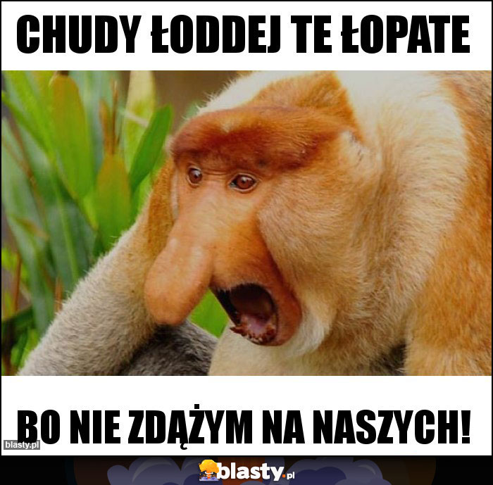 Chudy łoddej te łopate