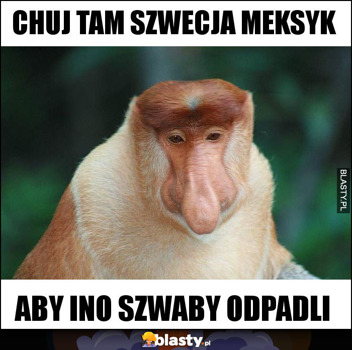 Chuj tam Szwecja Meksyk