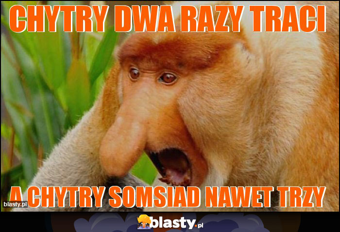 chytry dwa razy traci