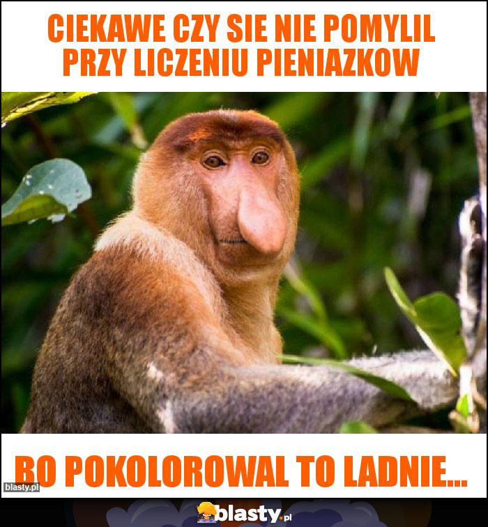 Ciekawe czy sie nie pomylil przy liczeniu pieniazkow