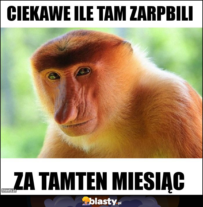 Ciekawe ile tam zarpbili