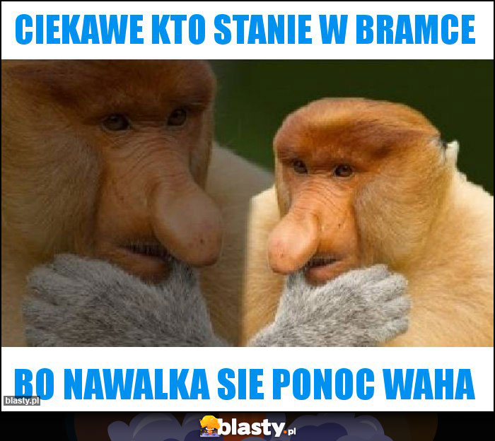 Ciekawe kto stanie w bramce