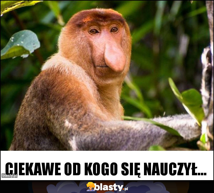 Ciekawe od kogo się nauczył...