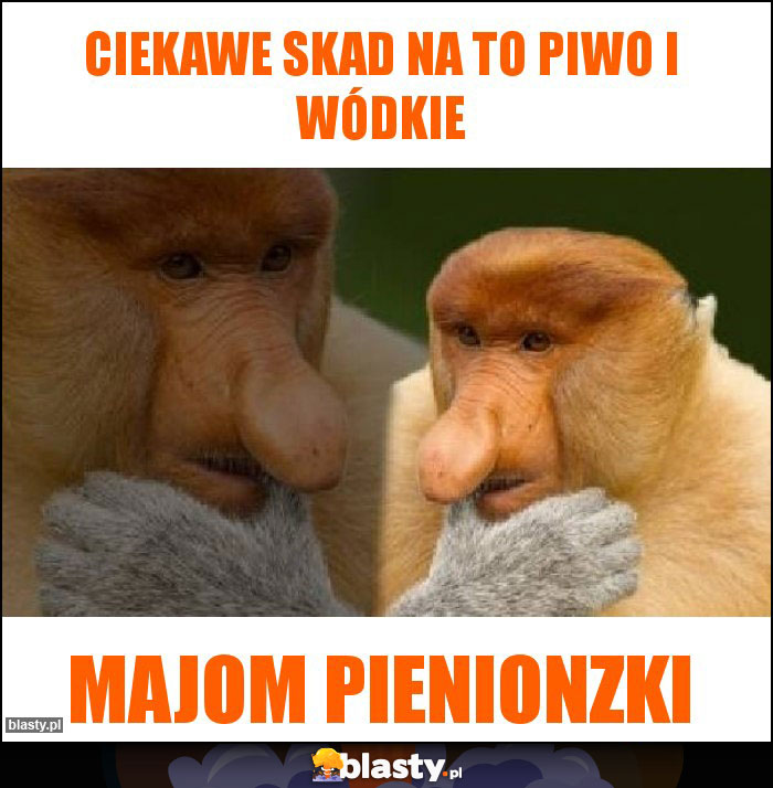 Ciekawe skad na to piwo i wódkie