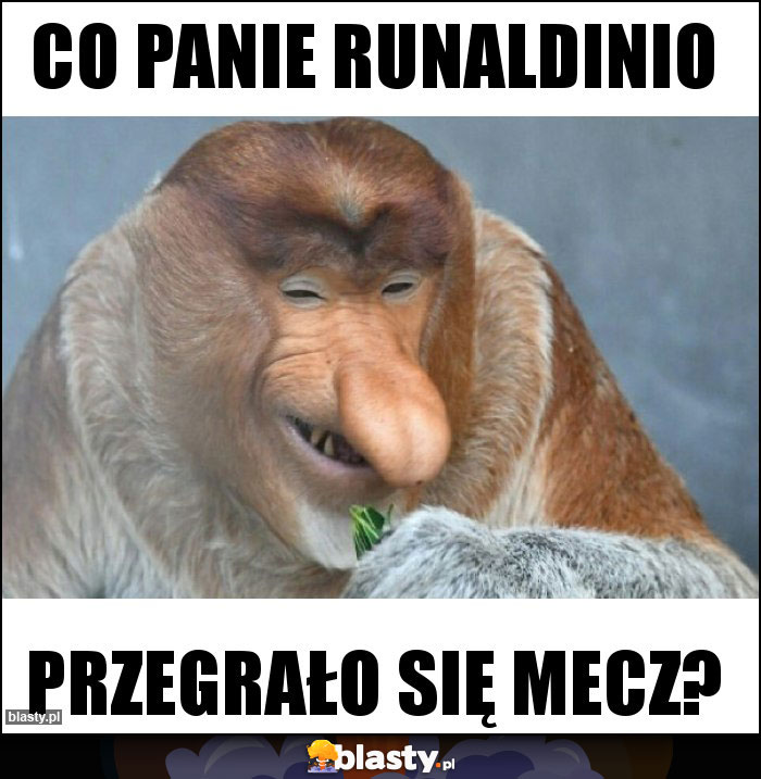 Co panie runaldinio