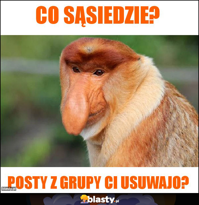 Co sąsiedzie?