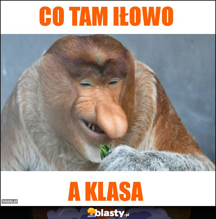 Co tam iłowo