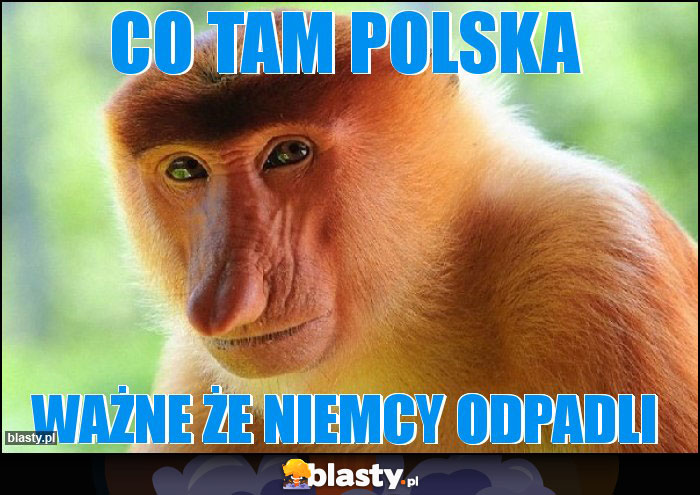 Co tam Polska