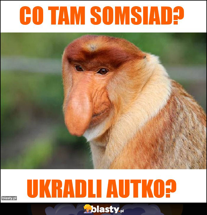 CO TAM SOMSIAD?