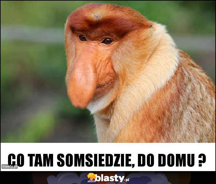 co tam somsiedzie, do domu ?