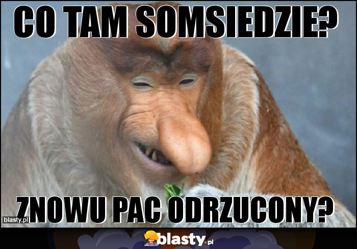 Co tam somsiedzie?