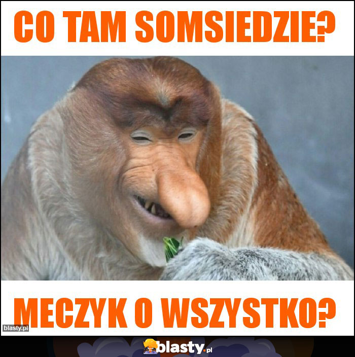 CO TAM SOMSIEDZIE?