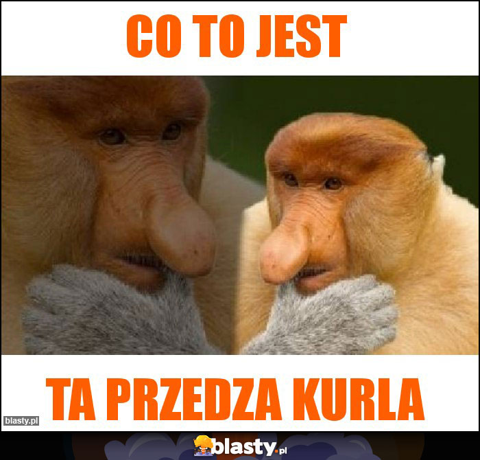 CO to jest