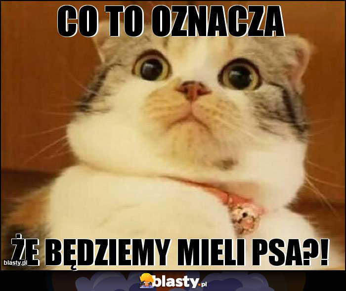 CO TO OZNACZA