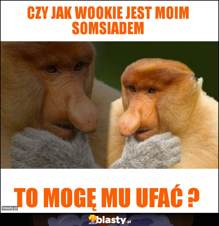 Czy jak Wookie jest moim somsiadem