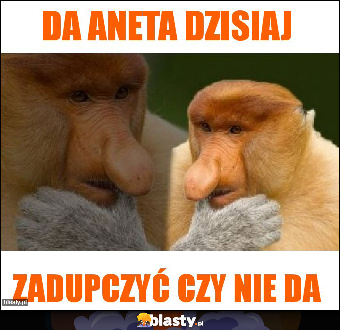 Da Aneta dzisiaj