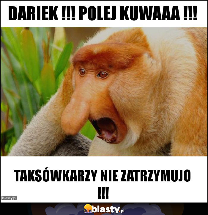 Dariek !!! Polej kuwaaa !!!