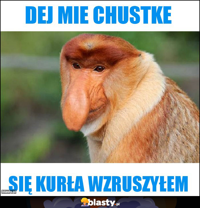 Dej mie chustke