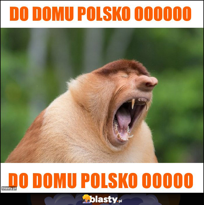 Do domu Polsko oooooo