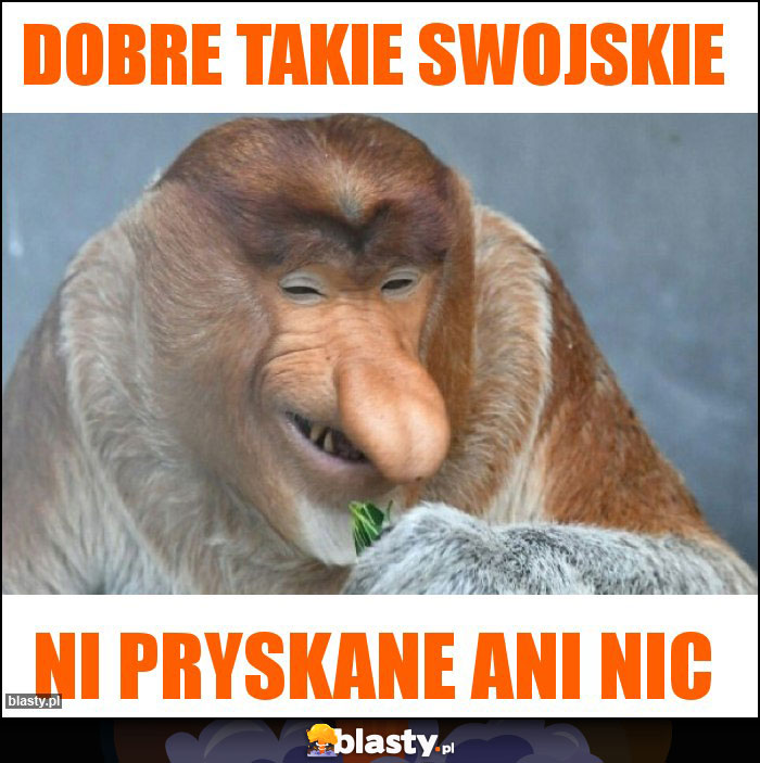 DOBRE TAKIE SWOJSKIE