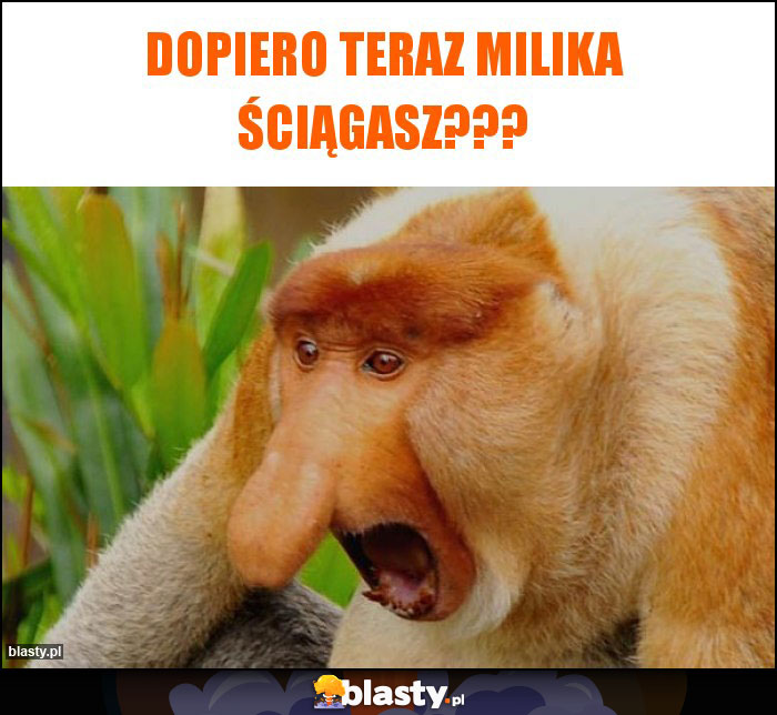 Dopiero teraz milika ściągasz???