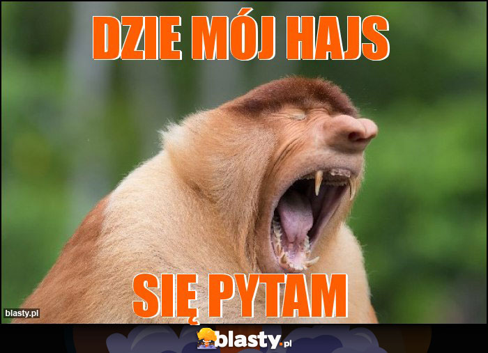 Dzie mój hajs