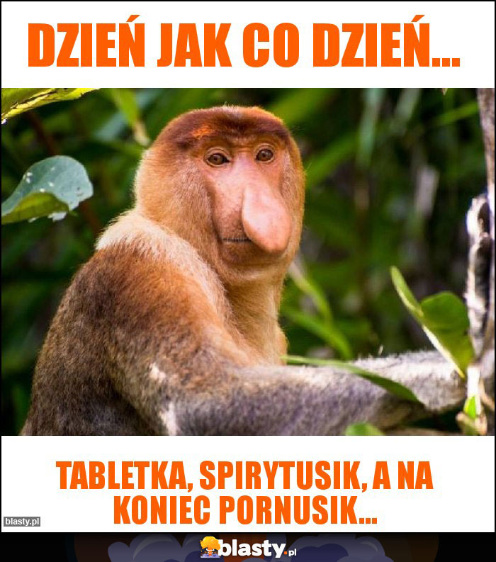 Dzień jak co dzień...