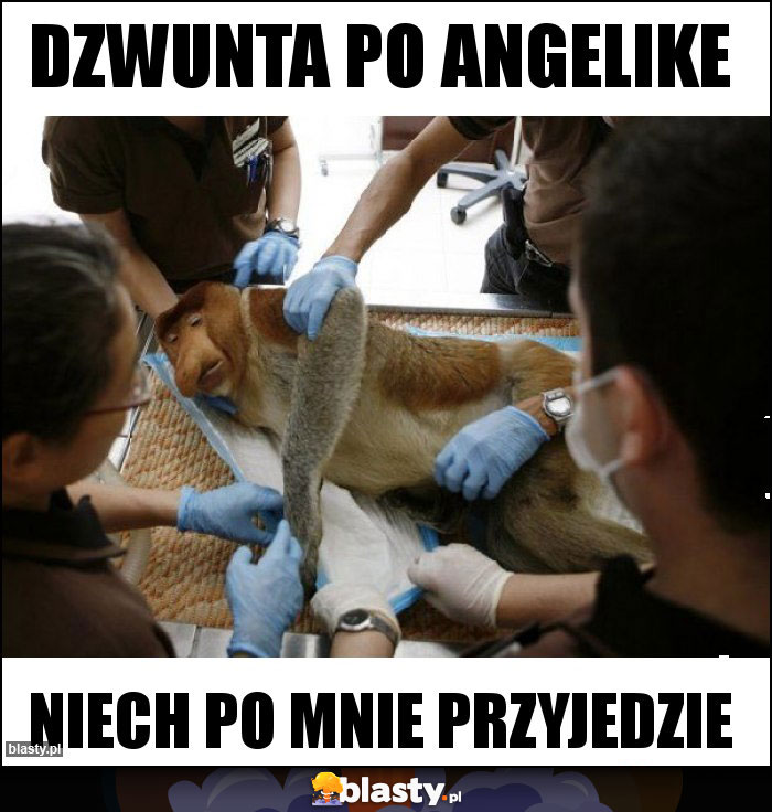 Dzwunta po Angelike