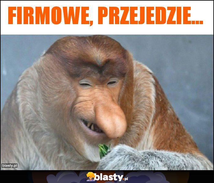 Firmowe, przejedzie...