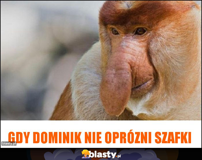 Gdy dominik nie oprózni szafki