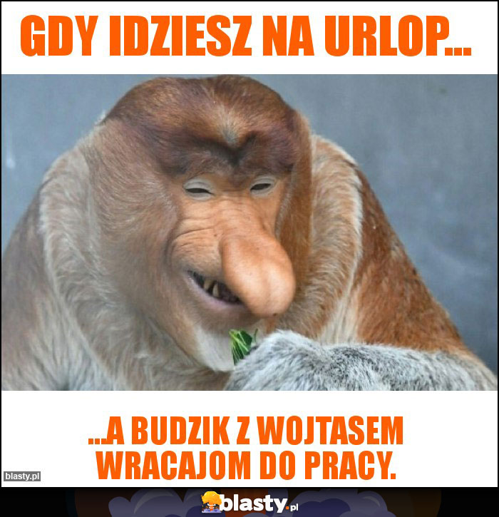 Gdy idziesz na Urlop...