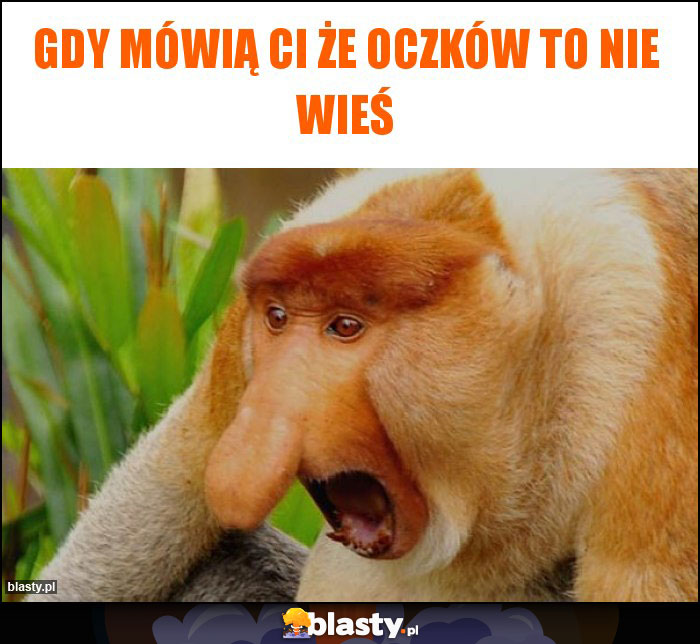 Gdy mówią ci że oczków to nie wieś