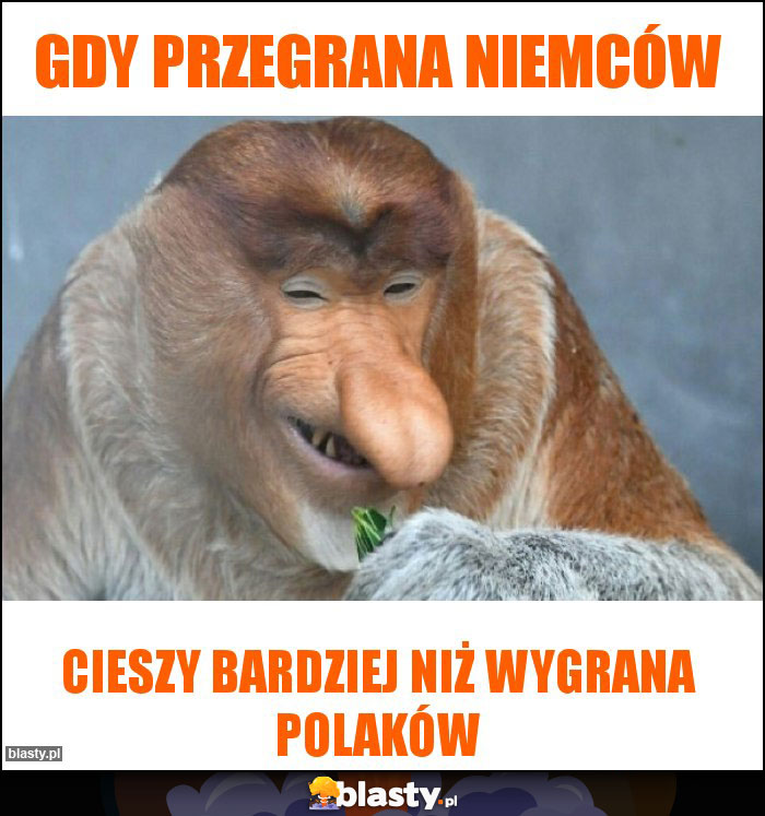 GDY PRZEGRANA NIEMCÓW