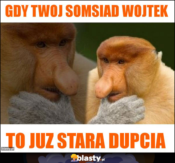 gdy twoj somsiad wojtek