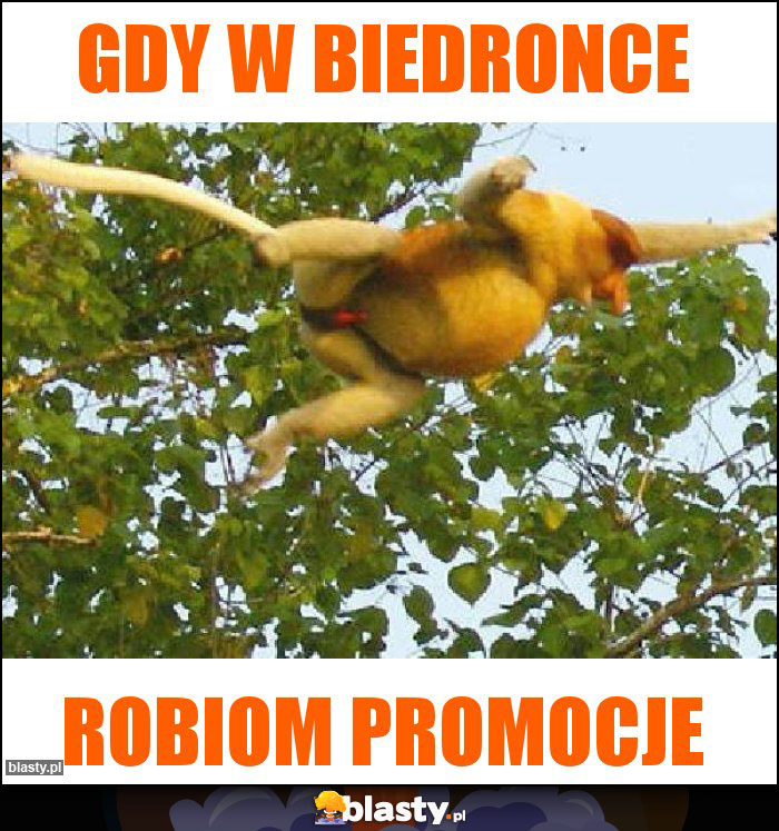 Gdy w biedronce