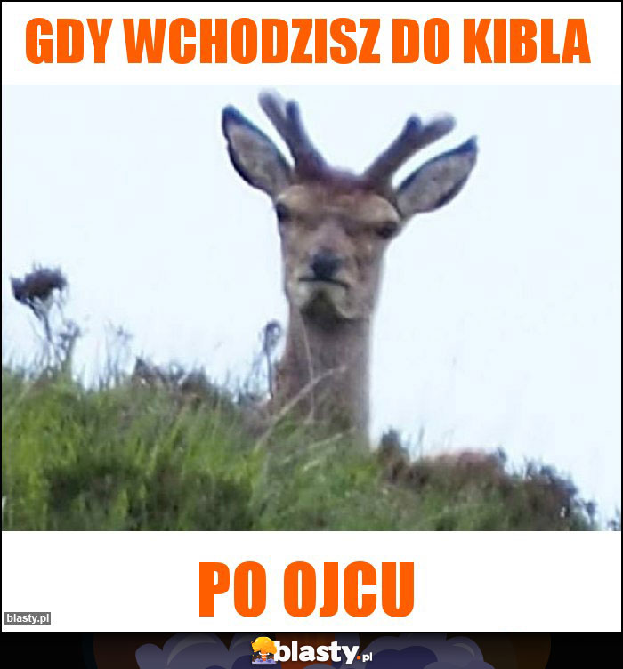 Gdy wchodzisz do kibla