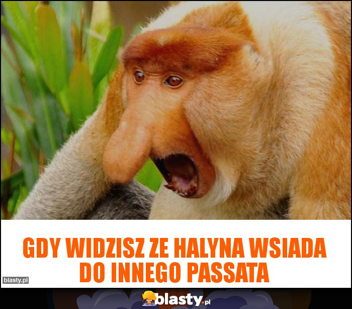 Gdy widzisz ze Halyna wsiada do innego Passata