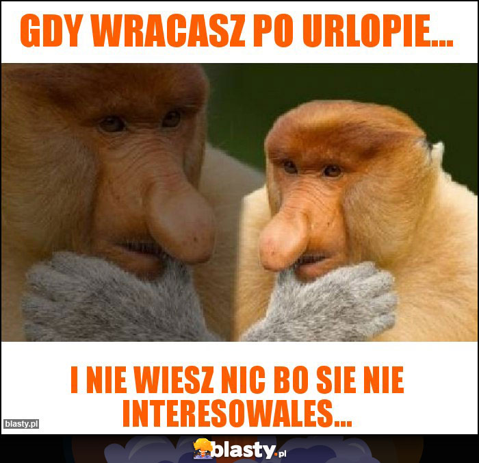 Gdy wracasz po urlopie...