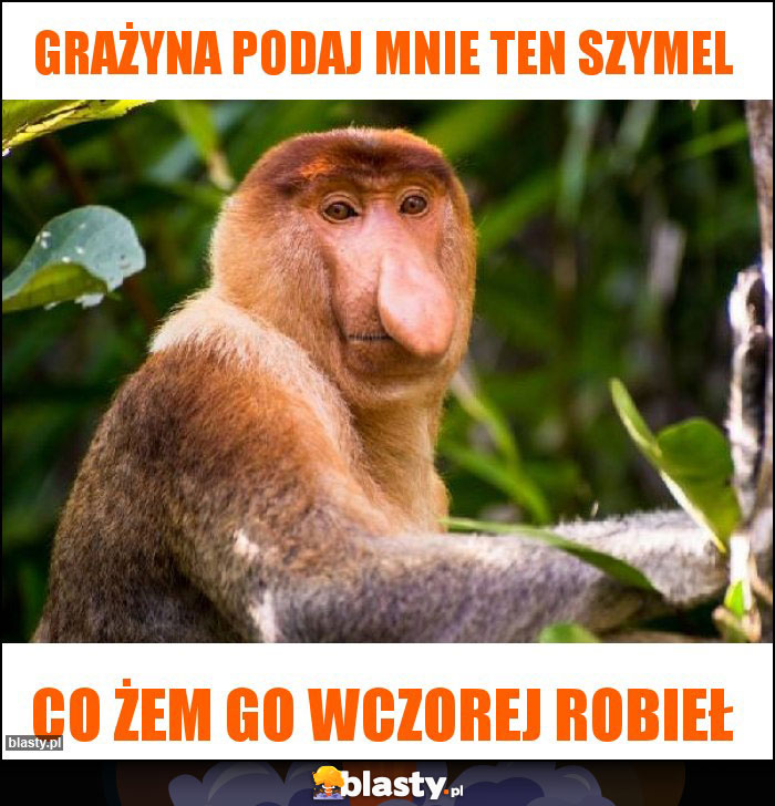 Grażyna podaj mnie ten szymel