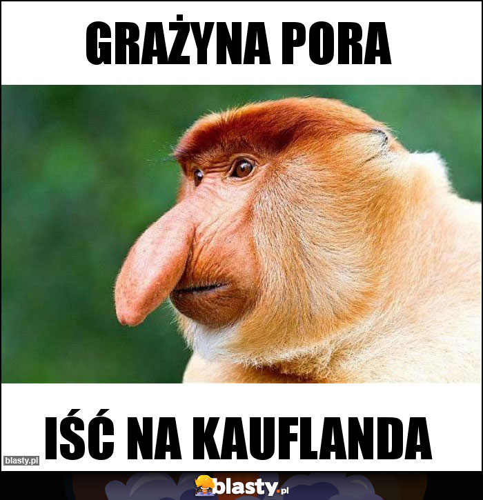 Grażyna pora