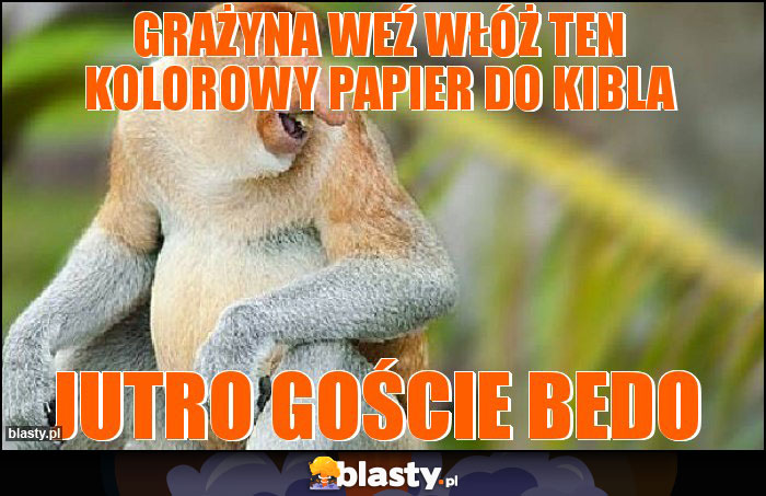 Grażyna weź włóż ten kolorowy papier do kibla