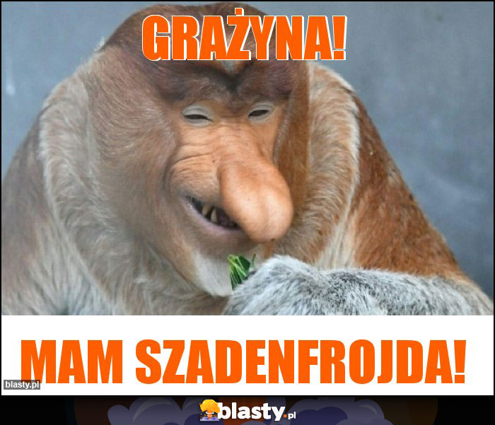 Grażyna!