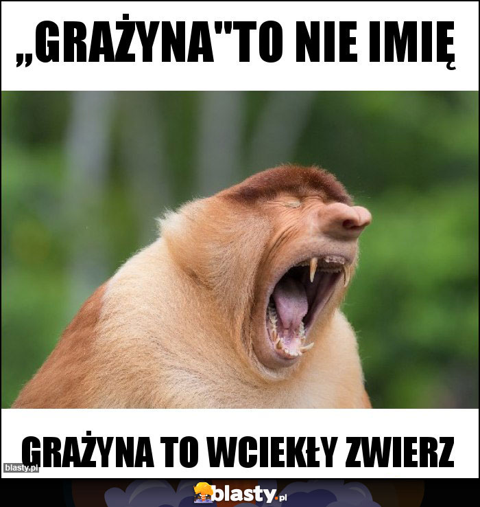 ,,Grażyna