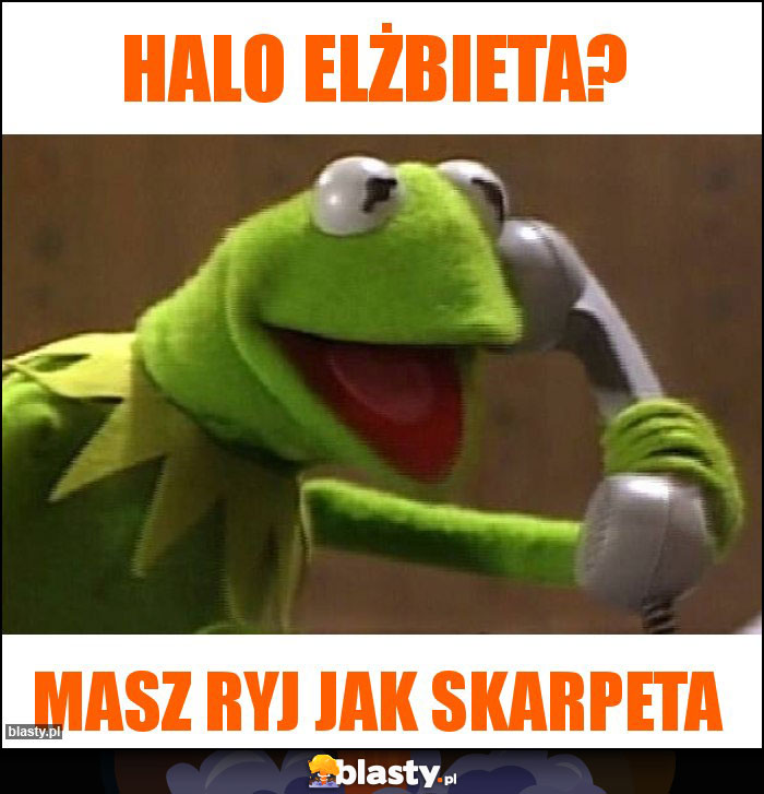 HALO Elżbieta?