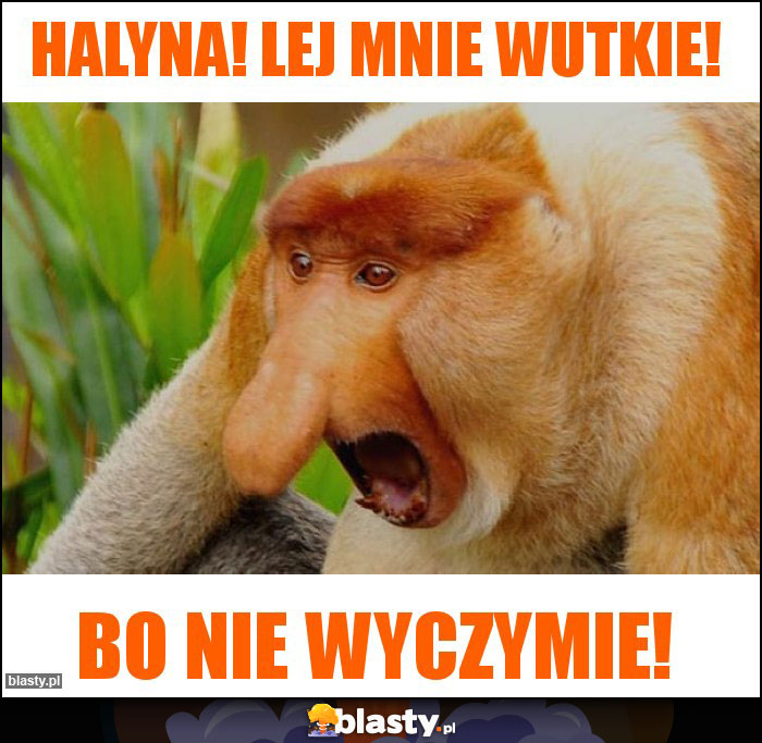 Halyna! Lej mnie wutkie!