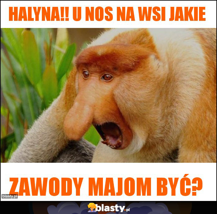 Halyna!! U nos na wsi jakie