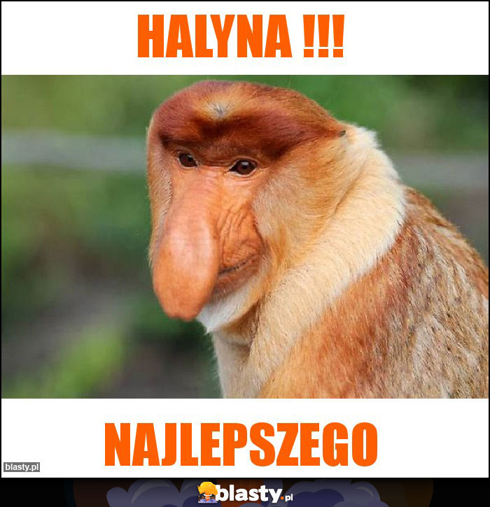 HALYNA !!!