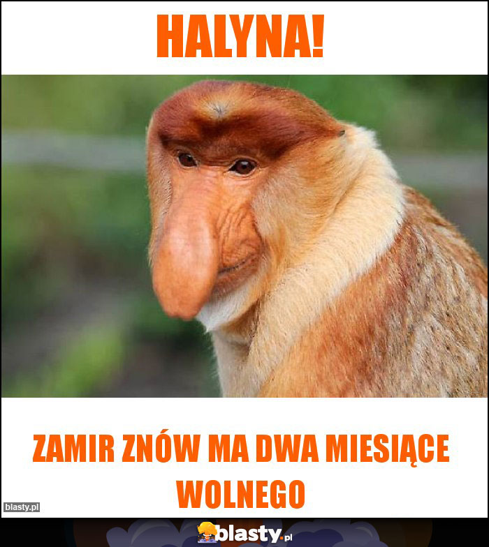 Halyna!