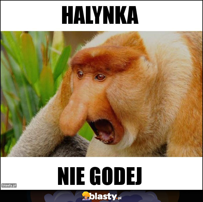 Halynka