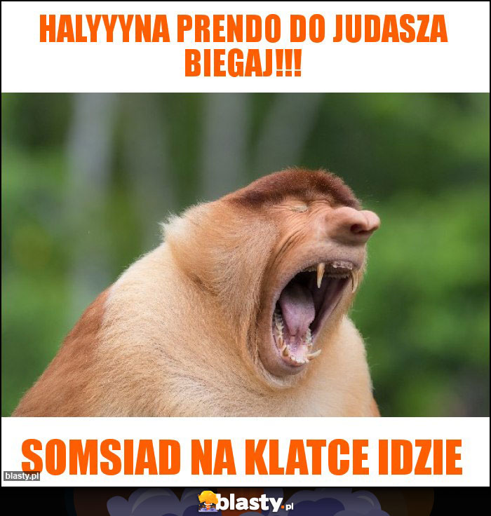 halyyyna prendo do judasza biegaj!!!